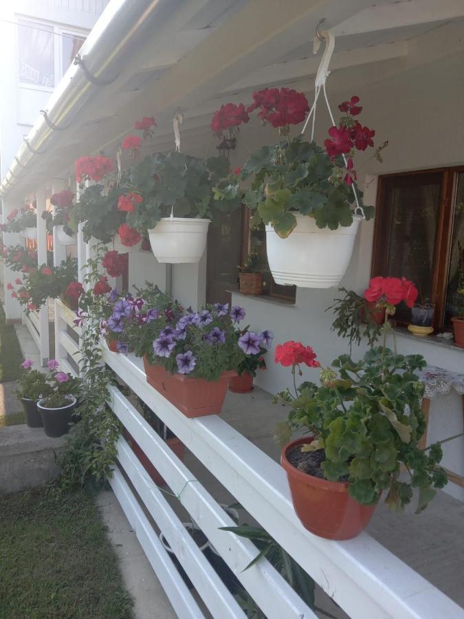 Hotel Cazare Turism Prislop Haţeg Esterno foto