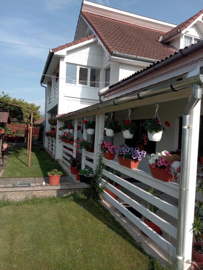Hotel Cazare Turism Prislop Haţeg Esterno foto